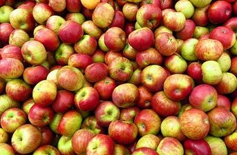 Диета на Apple за отслабване